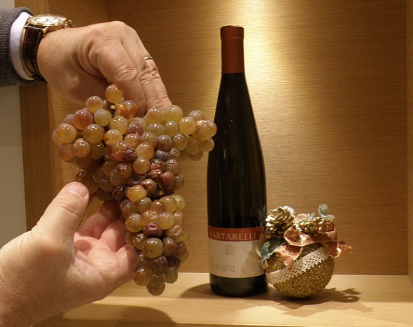Balciana grapes 2020
